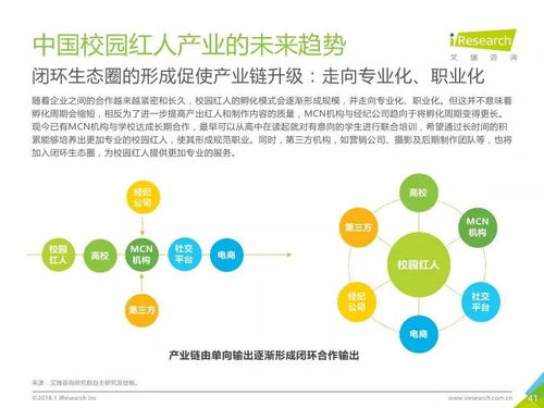 2018年中国校园红人产业研究报告